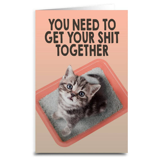You Need to Get Your Sh-t Together Cat Card: Card & Envelope Only