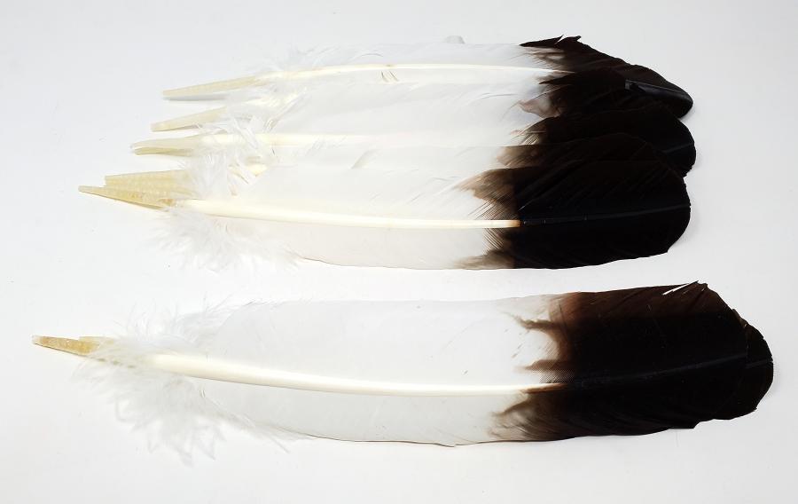 Brown Tip Smudging Feathers (imitation eagle feather) 10 feathers per package