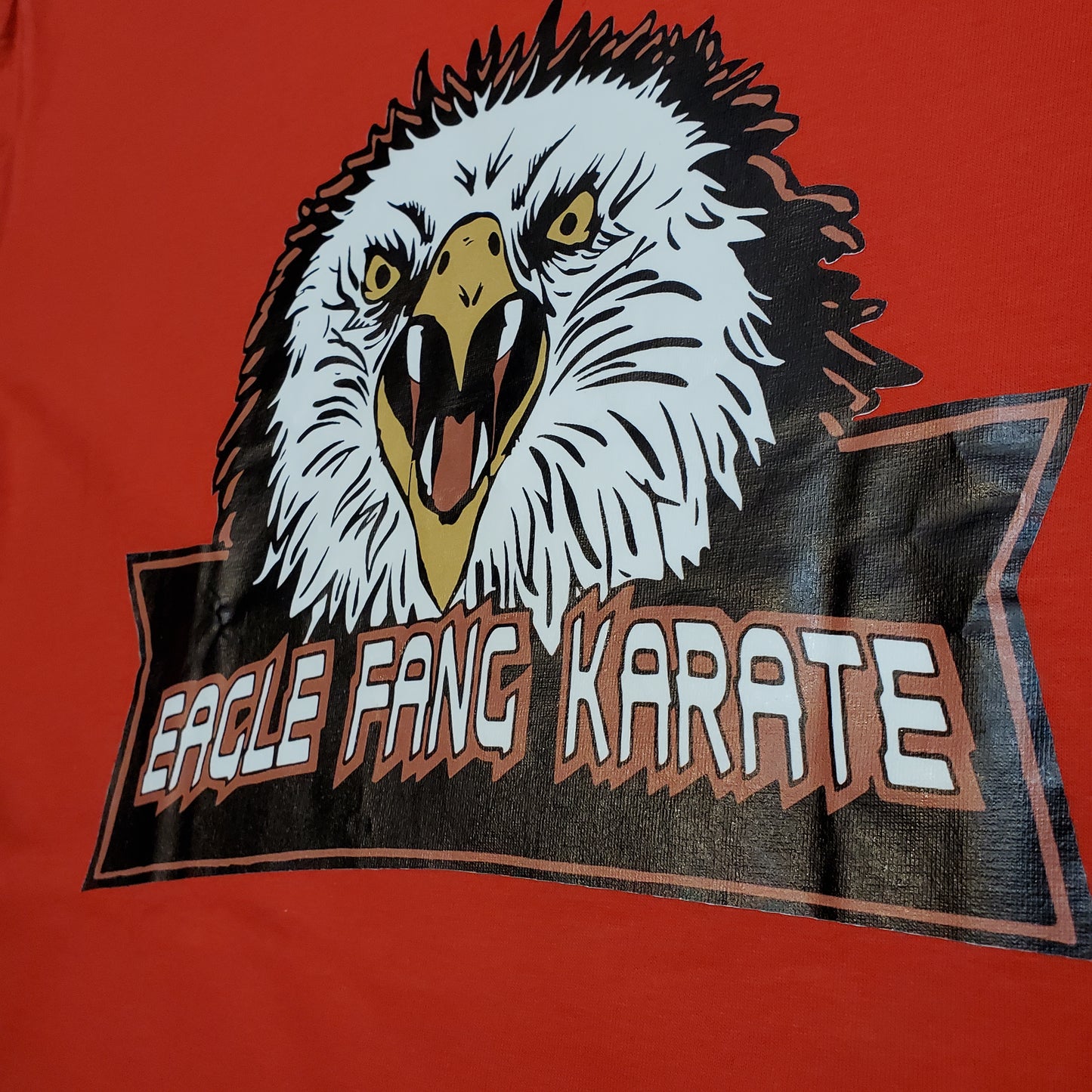 Eagle Fang Karate extra large T-shirt